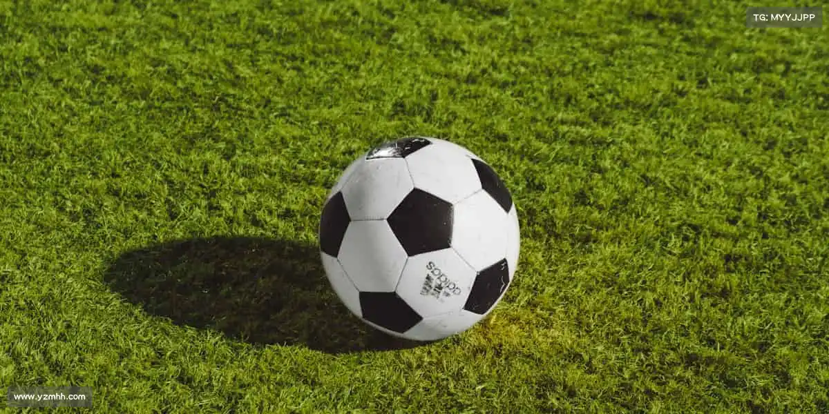 milan米兰🌟体育无极限，你的潜能，由汗水来见证！